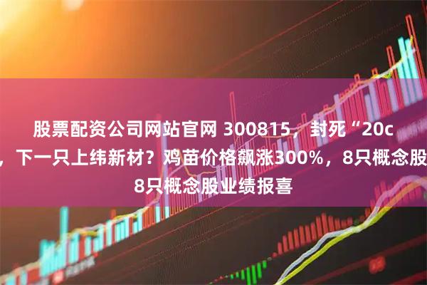股票配资公司网站官网 300815，封死“20cm”涨停，下一只上纬新材？鸡苗价格飙涨300%，8只概念股业绩报喜
