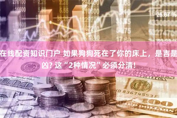 在线配资知识门户 如果狗狗死在了你的床上，是吉是凶? 这“2种情况”必须分清!