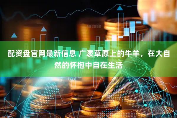 配资盘官网最新信息 广袤草原上的牛羊，在大自然的怀抱中自在生活